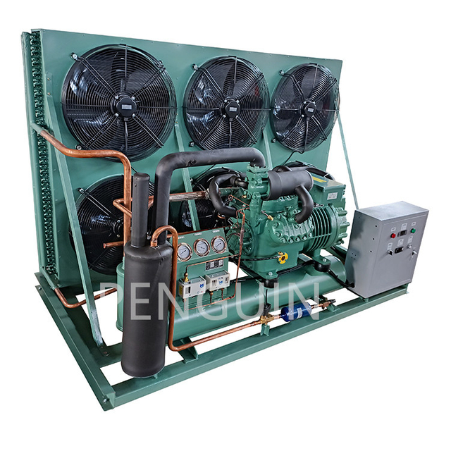 Cold Room Freezing Equipment 6 Fans Air Cooled Reciprocating Compressor Condensing Unit