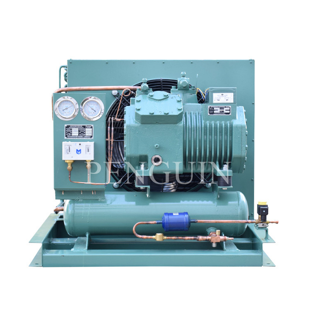 Mini Or High Power Refrigeration Condensing Unit with Compressor/ Condensing Unit for Cold Room