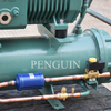 Low Temperature Food Cold Storage Cooling Refrigeration System Piston Compressor Water Cooled Unit