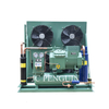 3hp 4hp 5hp 6hp 7.5hp 10hp 12hp 20hp Refrigeration Condenser Unit Air Cooled Freezer Condensing Freezing Units For Cold Room