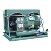 6.5HP 4CC6.2 4CES6(Y) Air Cold Refrigeration Compressor Unit With Tube Fin For Fish Vegetables Meet Frozen