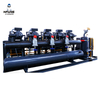 Large Capacity Refrigeration Equipment Five Parallel Screw Compressor Industrial Screw Condensing Unit