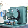 Mini Or High Power Refrigeration Condensing Unit with Compressor/ Condensing Unit for Cold Room